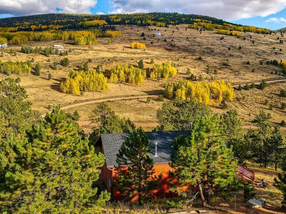 Monarch Landing, A Cozy Cabin W/360 Mountain Views Cripple Creek Eksteriør billede
